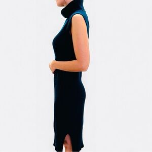 THE LIMITED gorgeous knit dress